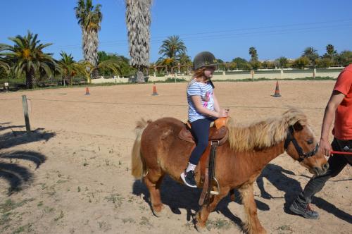  El Rancho Los Montesinos - Torrevieja in Los Montesinos