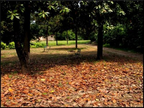 Il Giardino Del Conte Custoza