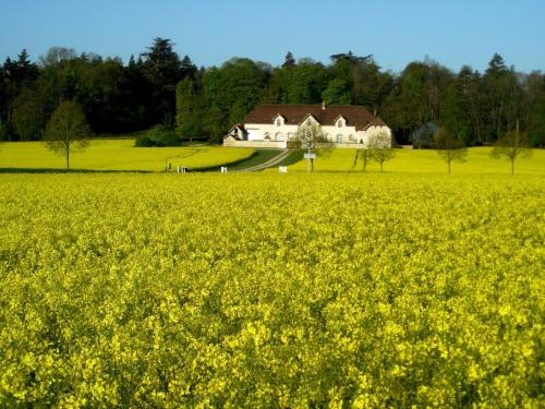 Gite du Domaine de la Maison Neuve