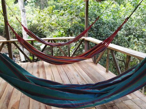 El Tigrillo Rio Claro by Los Colores Ecoparque