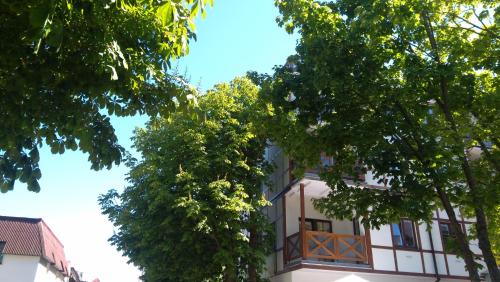 Apartament Plazowa 5 nr 20 - widok i taras