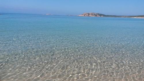 agriturismo gli olivastri appartamento corbezzolo con piscina e vista mare,climatizzatore,wifi