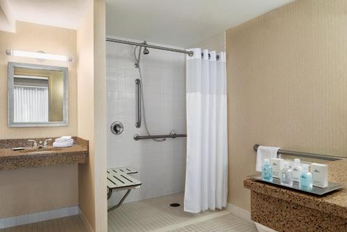 King Room with Roll-In Shower - Mobility Access/Non-Smoking