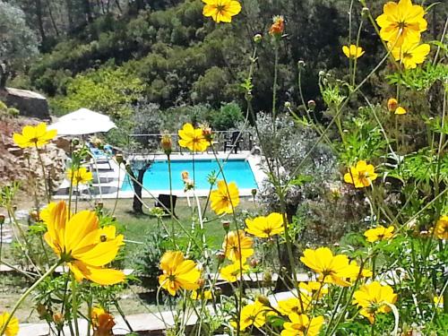  Casas do Couratão, Pension in Malhadas da Serra bei Soito