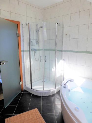FeWo Atterseeperle - 80m2 mit See- und Gebirgsblick in Steinbaha Atersē