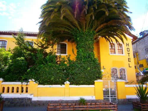 Foto - The Yellow House