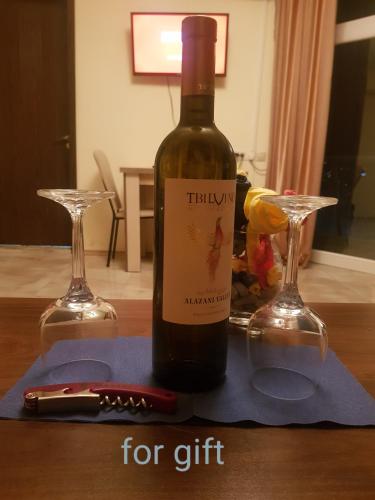 wine valley in Udabno