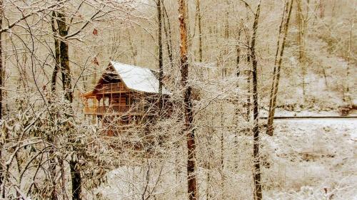 Serenity Creek Cabin - image 5