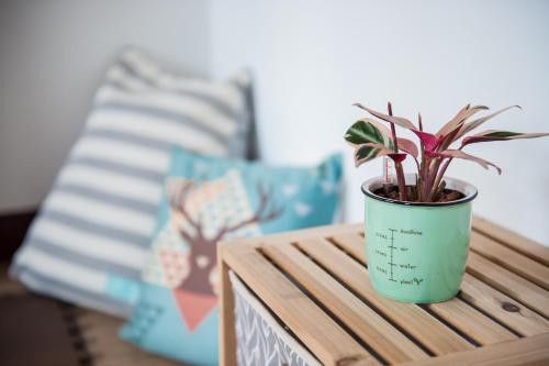 Facilities, Penghu D.C. Inn near Daguoye Xuanwuyan