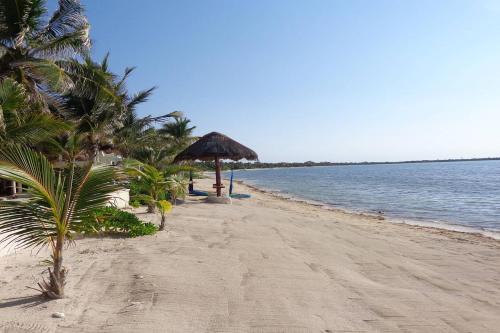 CASA TORTUGA, Soliman Bay - Tap to explore photos