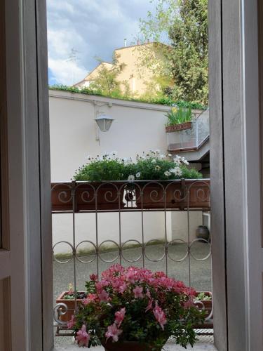 Hotel David - image 11