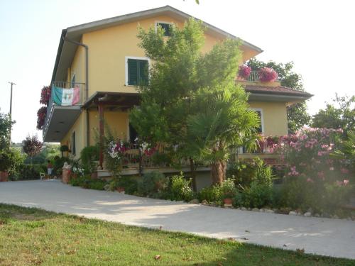 Nonno Pio - image 2