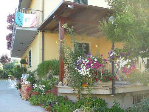 Nonno Pio - image 3