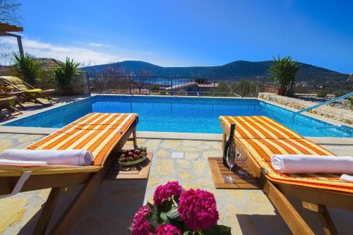 Villa Krcina - image 10