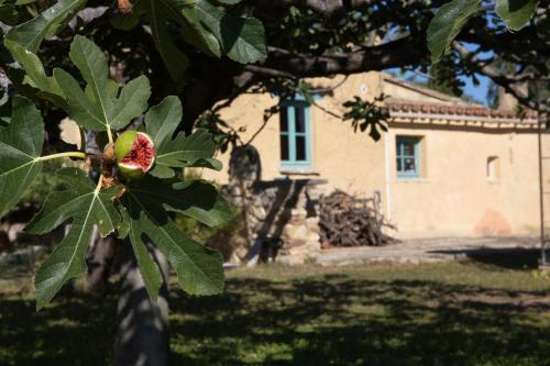 gîte Mas Antinea