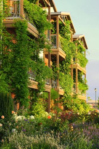 ทัศนียภาพภายนอกโรงแรม, Napa River Inn in แนปา (CA)