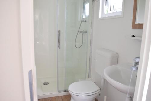 4 pers. Veluwelodge - image 4