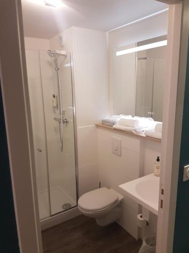 Best Western Armor Park Dinan - image 13