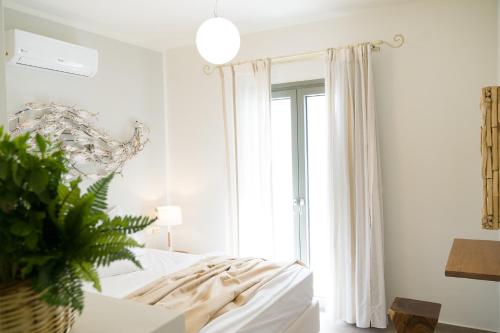 Sweet Home Naxos - image 7