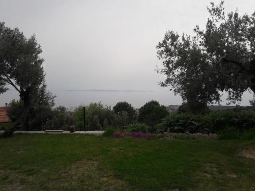  Serinyer in Küçükkuyu