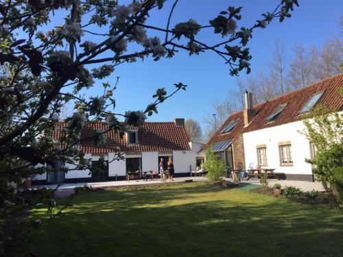  Albatros in Koksijde