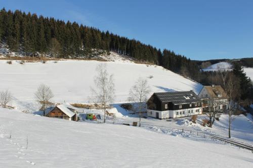 Ferienwohnung Schütte-Mühle - Apartment - Schmallenberg