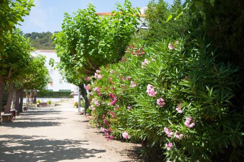Marina Tossa - image 14