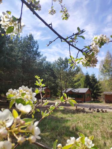 Agroturystyka Oaza Ciszy i Spokoju