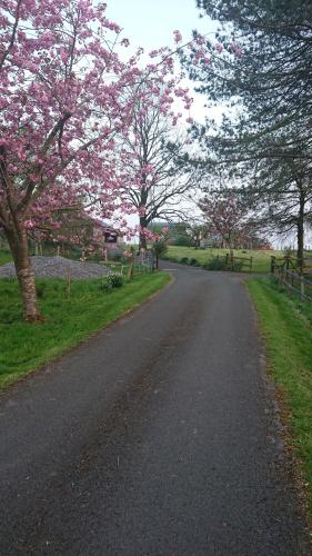 Laraghson House