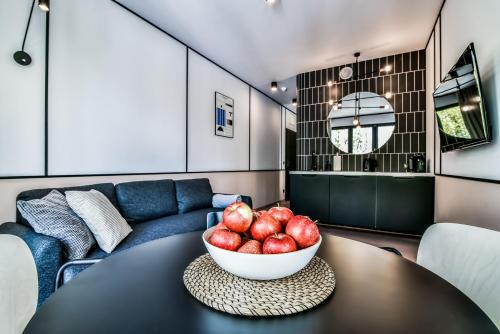 Białe Miasto LTC Apartments - image 3