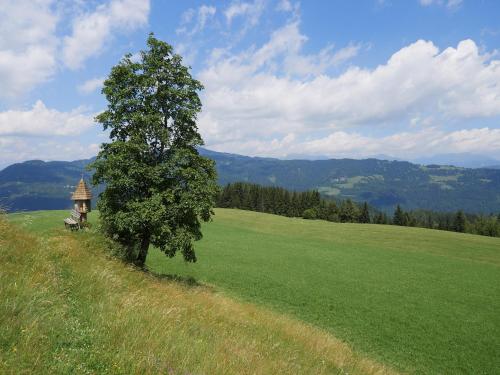 Alpengasthof Moser - image 9