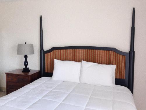 Hilo Reeds Bay Hotel Room Type - Standard King Studio