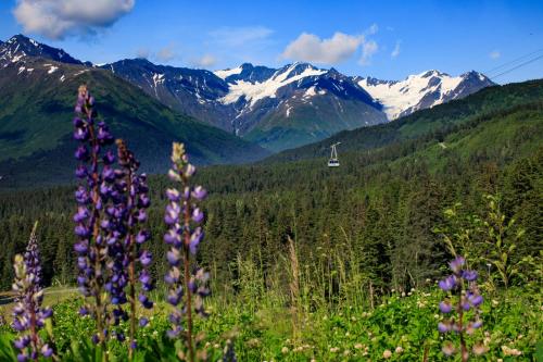 Alyeska Resort