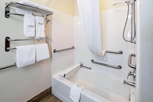 Quality Inn & Suites - image 2