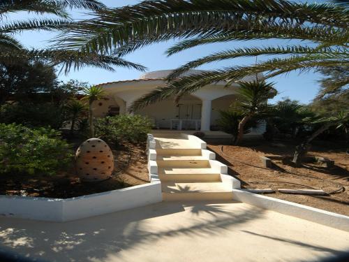 Oasi Di Casablanca - image 12