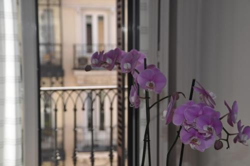 Hostal Patria Madrid - image 2