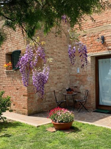 Podere Casanova & Wine Experience - Montepulciano