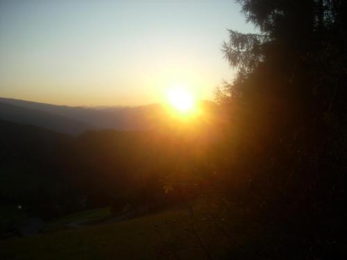 Alpengasthof Moser - image 14