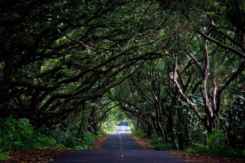 The Bali House and Cottage at Kehena Beach Hawaii