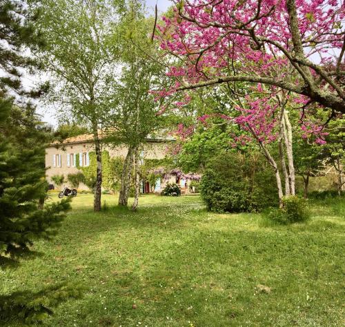 Château de Cartou - Chambre d'hôtes - Durfort-Lacapelette