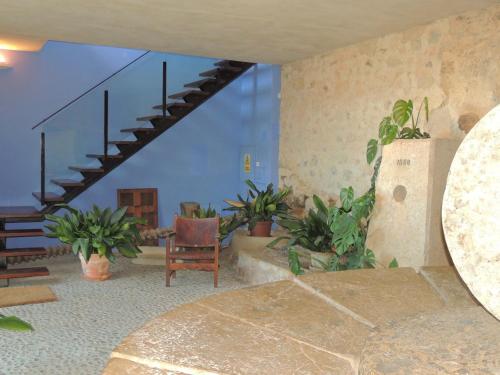 Son Corco - image 9