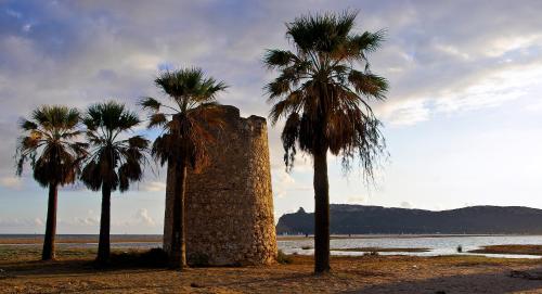 Home Carales - image 5