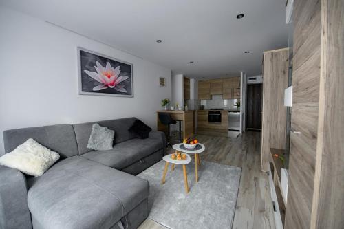 APARTAMENT PRZYTULNY