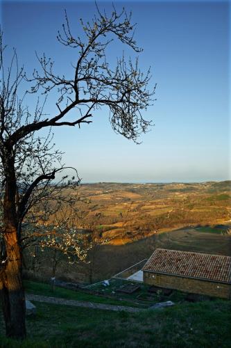 Melegran In The Hills