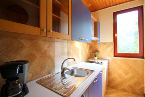 Apartment Franjo near center - image 4