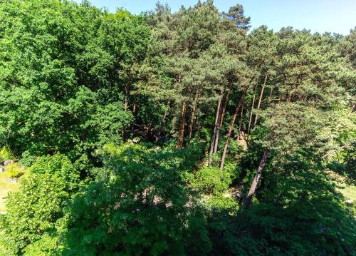 By The Woods Apartment (Przy Lesie) Happy Hours - image 3