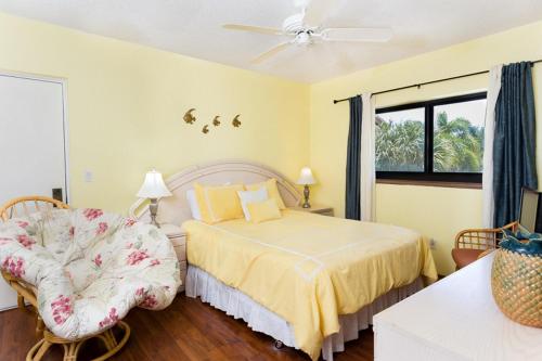 Coquina 3H - image 8