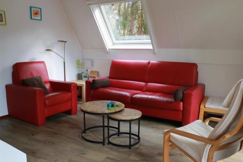 Calluna151, Harfsen (фото 4)