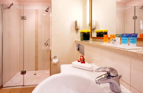The Croke Park Hotel, Дублин (фото 8)