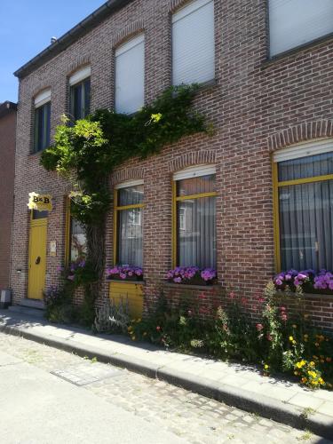  B&B Cortewyle in Watou